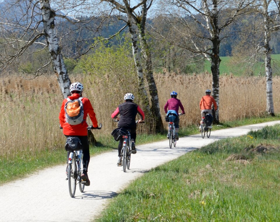 Bike wheel bicycles