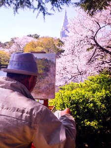 Blossom tree blooming