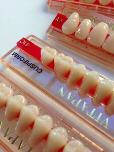 Tooth dental prosthesis dental