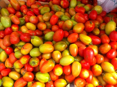 Tomatoes yellow red