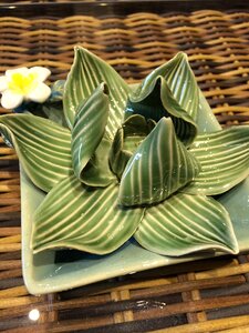 Lotus ceramics coffee table