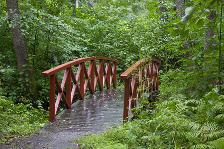 Trees landscape green bridge