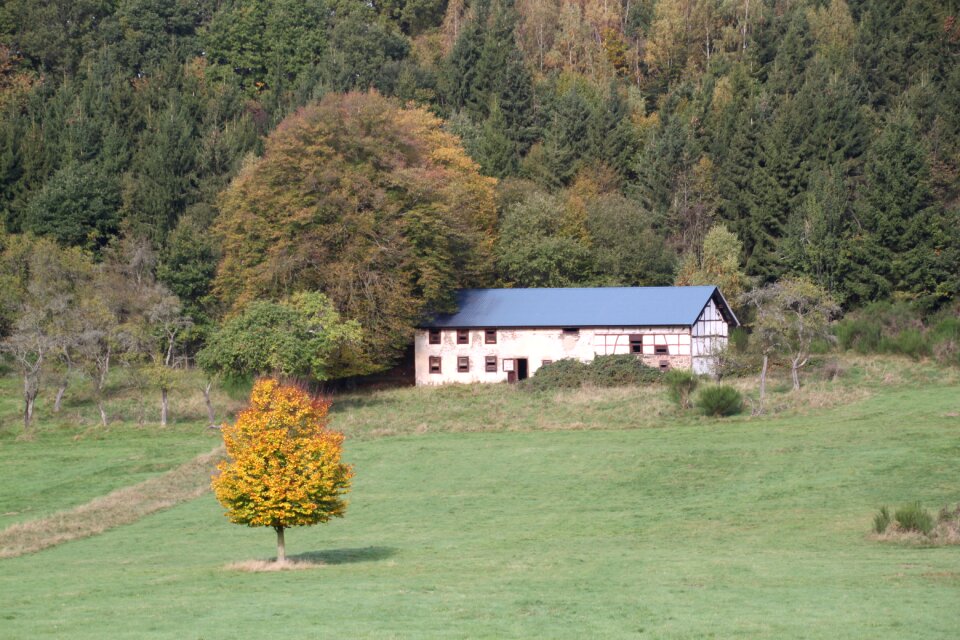 Farm agriculture landscape