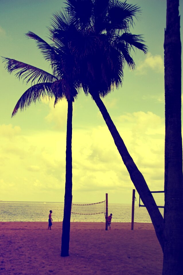 Beach sunset beach volleyball