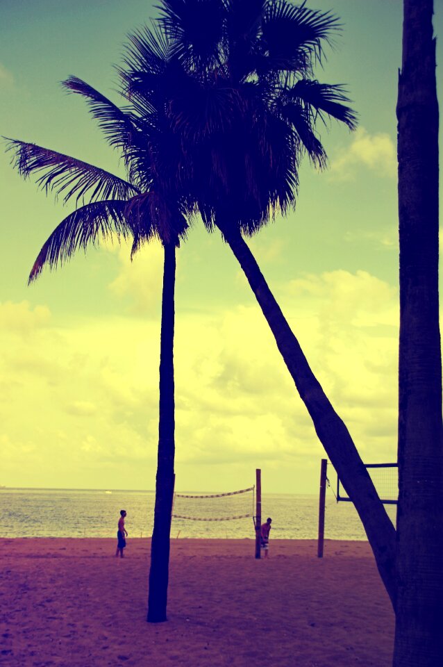 Beach sunset beach volleyball photo