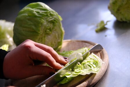 Cutting boards food healthy photo