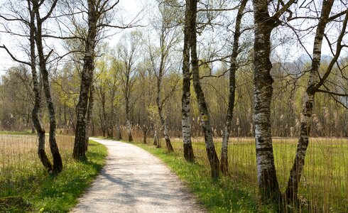 Spring trail hiking