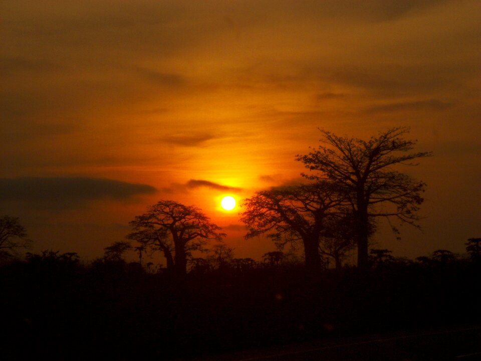 Sunset horizon red