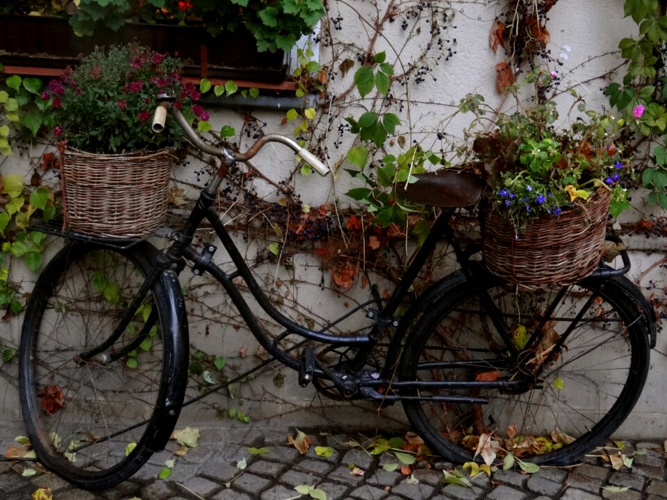 Bike spring retro