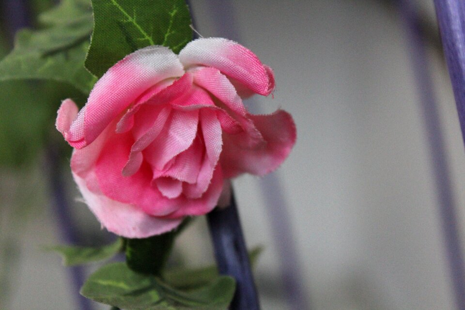 Decoration pink love
