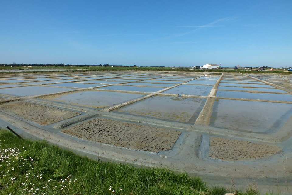 Salt marshes salt noirmoutier