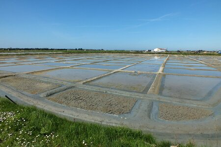 Salt marshes salt noirmoutier
