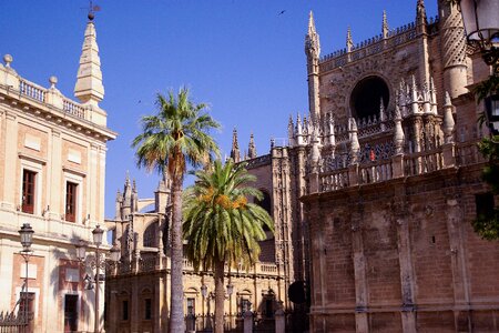 Seville cathedral gothic photo