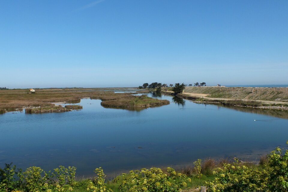 Noirmoutier bird sanctuary water
