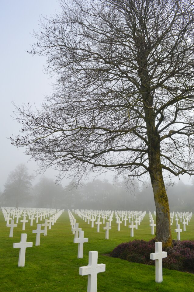 Soldier d day commemoration photo