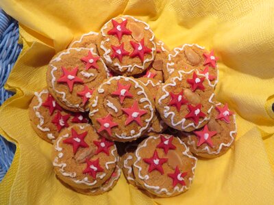 Christmas festive star