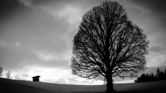 Backlighting clouds black and white photo