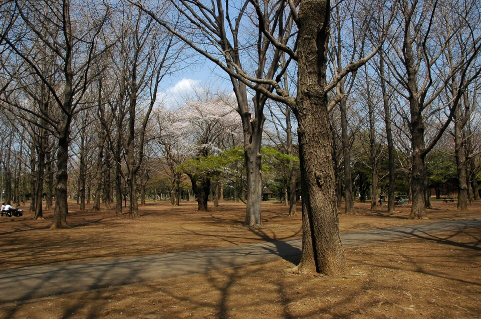 Shibuya yoyogikamizono cho jinnan chome photo