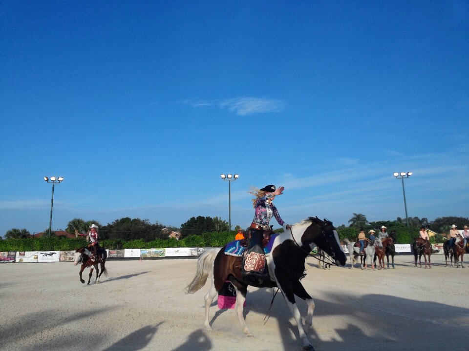 Horses barrel racing