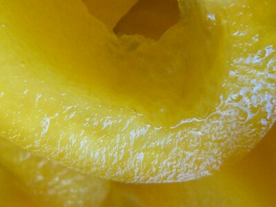 Vegetables yellow macro photography photo