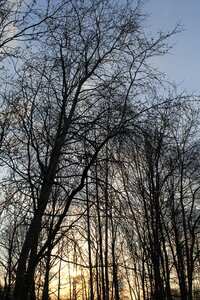 Landscape sky autumn photo