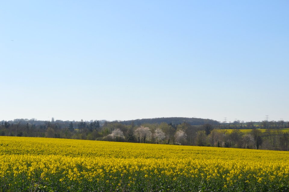 Fields agricultural land agriculture