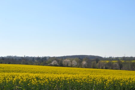 Fields agricultural land agriculture