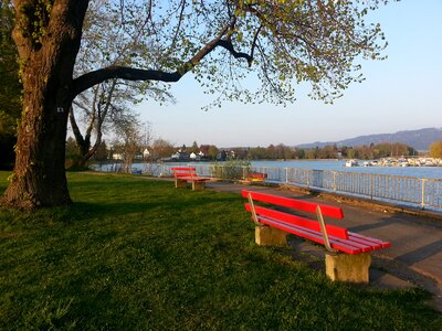 Seat lake constance bavaria
