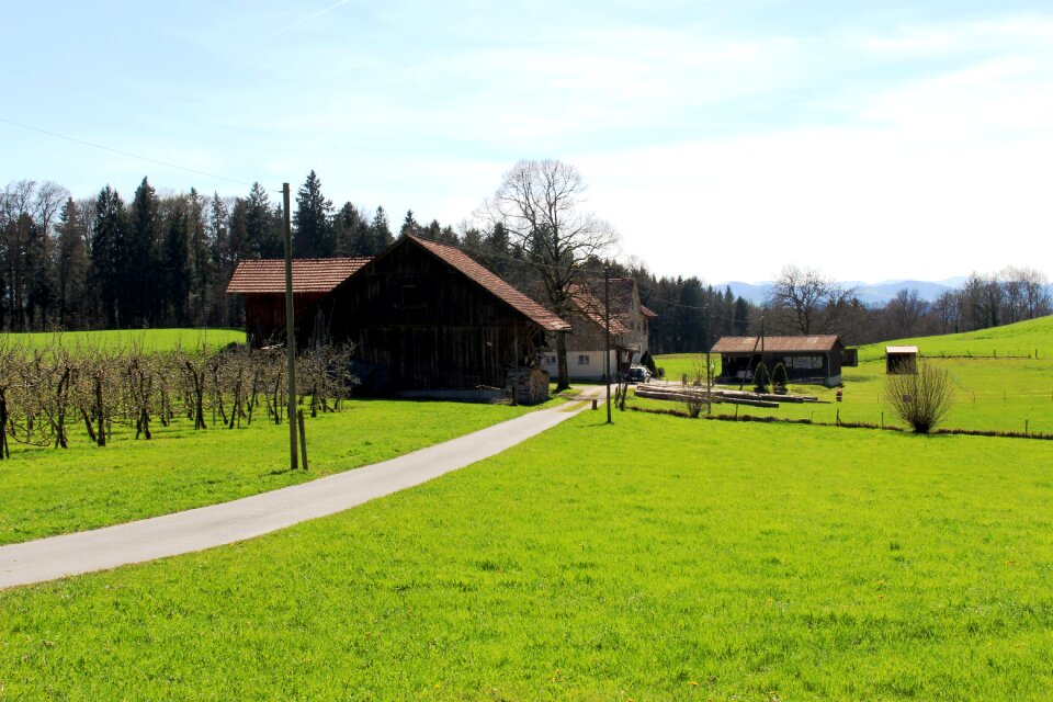 Barns green landscape forest