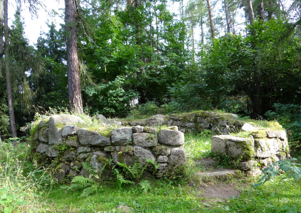 Forest architecture monument