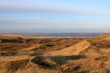 Denmark fjord dune