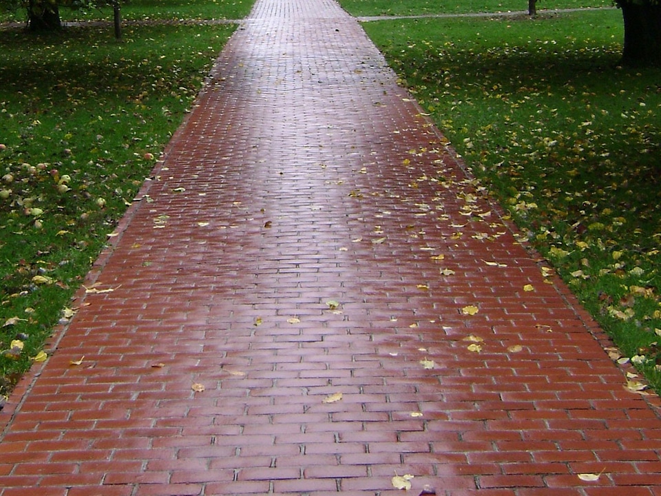 Walking park pathway
