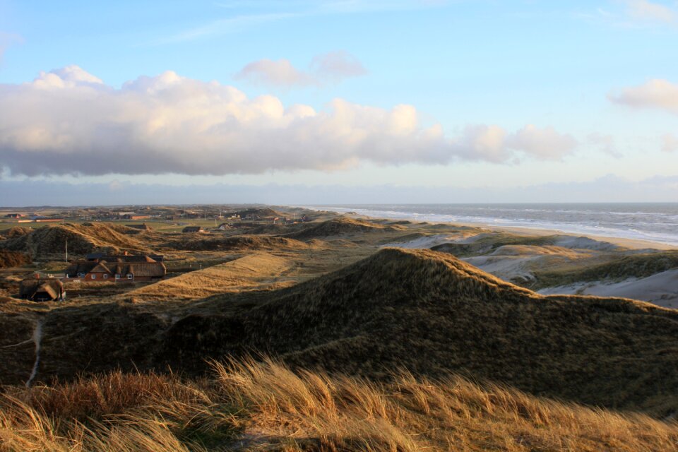 Denmark north sea dune