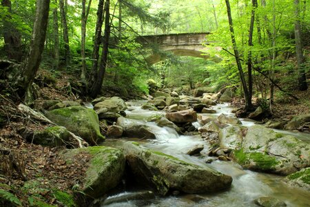 Nature rocks green bridge