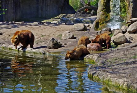 Children predator animal world
