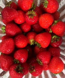 Food healthy berry