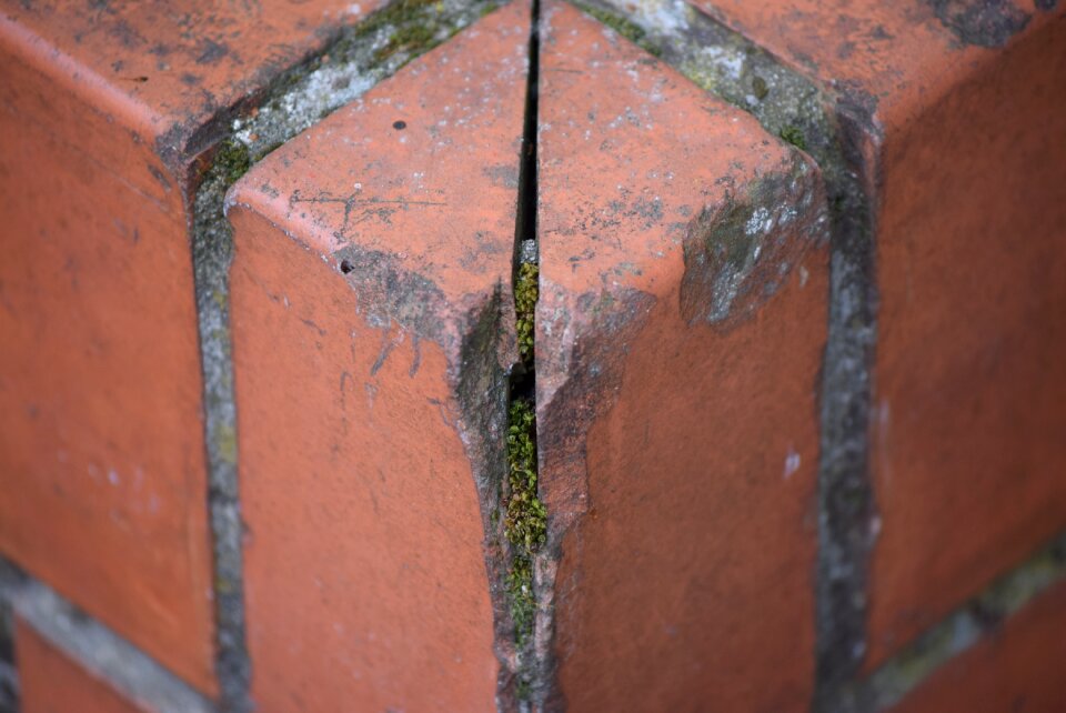 Wall lombardy italy
