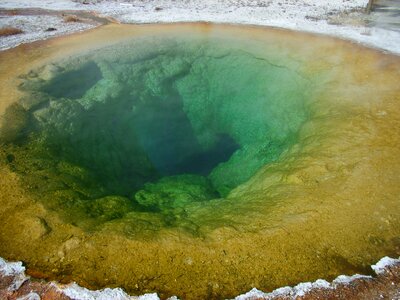 Geyser yellowstone national park