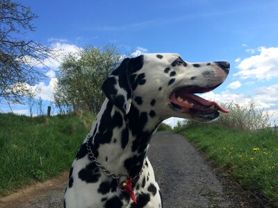 Outdoors path clouds