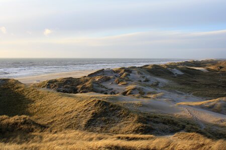 Denmark north sea dune