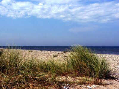 Beach summer buoys village photo