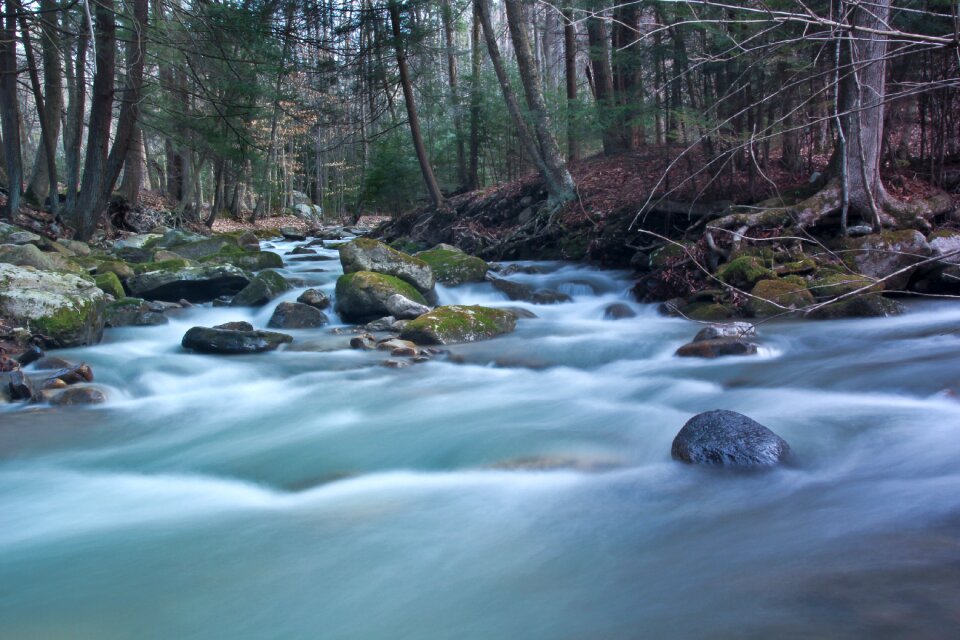 Wet nature splash