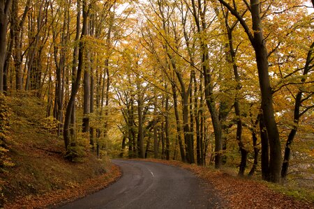 Outdoor natural landscape photo