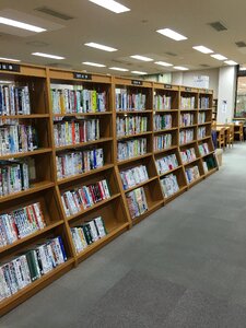 Book library bookshelf photo