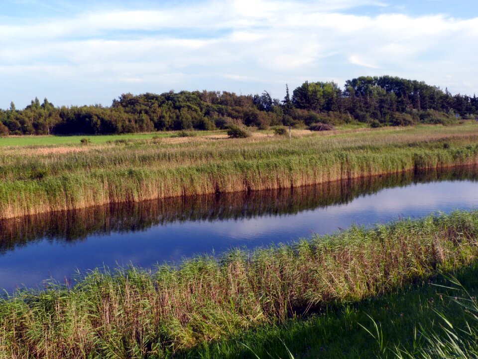 Nature rest landscape