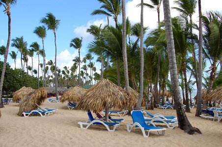 Hotel nature beach