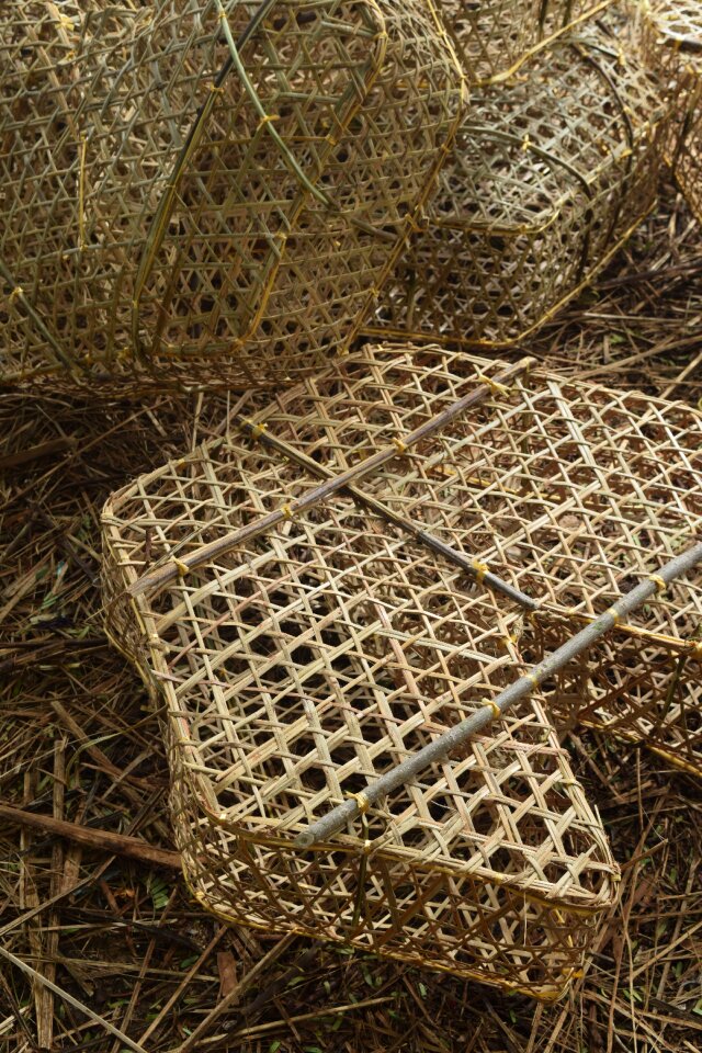 Fishing nets crabs lobsters
