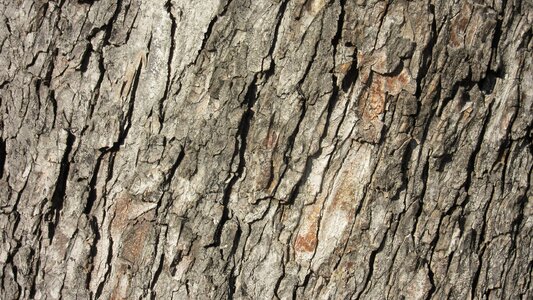 Pattern texture rauh