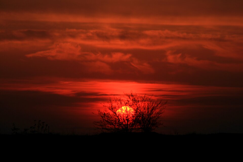 Tree sky fire photo