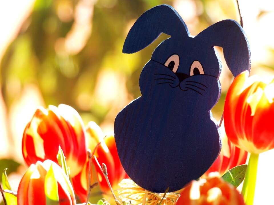Customs custom easter egg
